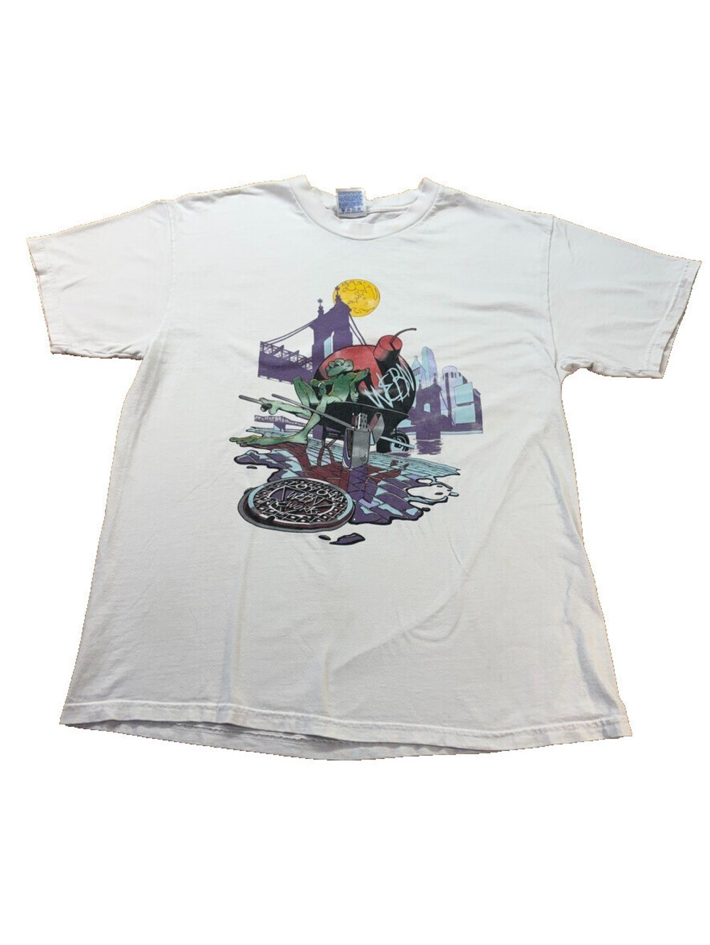 Y2K WEBN Fireworks Hanes Beefy Frog Promo Tee In White L